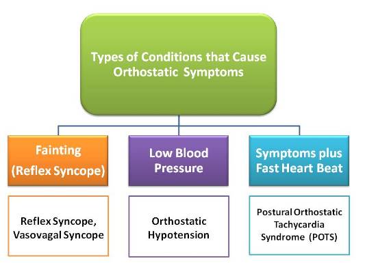Types of POTS Syndrome: Which Do You Have? • MyHeart